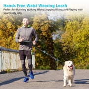 YeewayVeh Hands Free Dog Leash with Adjustable Waist Belt & Zipper Pouch, Shock Absorbing Bungee & Dual Handle for Running, Walking