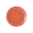 thumbnail image 2 of Tuxton China BNA-0904 9 in. Healthcare Plate - Cinnebar - 1 Dozen, 2 of 3