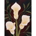 thumbnail image 3 of St. Amant, Yvette 12x14 Black Modern Framed Museum Art Print Titled - Botanical Elegance II, 3 of 5