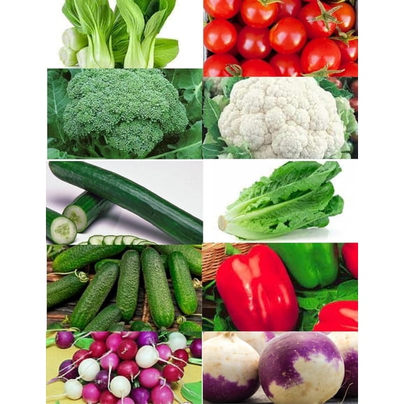 GSDWIUEW 1000+ Graines de Légumes-10 Assortiment # 13 + Paquet de Graines Bonus à Chaque Commande