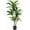 Green, variant on Trilenars 4.9 Inch Artificial Dracaena Tree Faux Tree with Planter for Indoor Outdoor Fake Tall Floor Plant in Pot No Maintenance,Red