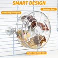thumbnail image 4 of 1 Pce, Jouet de Recherche de Nourriture pour Souris, Mangeoire Lente interactive avec Roue Distributrice de Friandises Rotative Transparente, Peut Tre Utilisé pour Enrichir les Activités de la Souris, Accessoire de cage à Souris, Blanc, 4 of 7