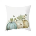 thumbnail image 1 of Fridja Housses de Coussin d'Halloween 18 x 18 Pouces Rétro Citrouille d'Halloween Graphique Housse de Coussin Décorative Colorée Rustique d'Halloween pour Décoration de Maison, Canapé, Sofa pour les Fêtes, 1 of 1