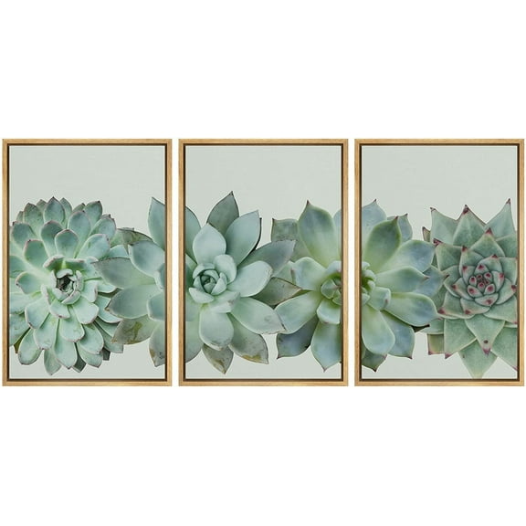 wall26 Framed Canvas Print Wall Art Set Desert Succulent Variety Closeup Floral Plants Photography Realism Southwest Group Colorful Cool for Living Room, Bedroom, Office - 16"x24"x3 Natural