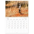thumbnail image 6 of Africa's animal world - Meerkats (Monthly Wall Calendar 2026 11.7 x 16.5 (open)), CALVENDO 14 Month Calendar, 6 of 9