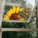 thumbnail image 3 of Adhesivos para ventana, pegatinas para ventana de flores y mariposas, adhesivos para ventanas de Gel DIY, adhesivos para ventanas florales de doble cara para vidrio, 3 of 5