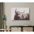 thumbnail image 2 of wall26 Canvas Print Wall Art Monochrome Brown Ox Portrait Animals Wilderness Photography Realism Rustic Scenic Relax/Calm Multicolor for Living Room, Bedroom, Office - 24"x36", 2 of 5