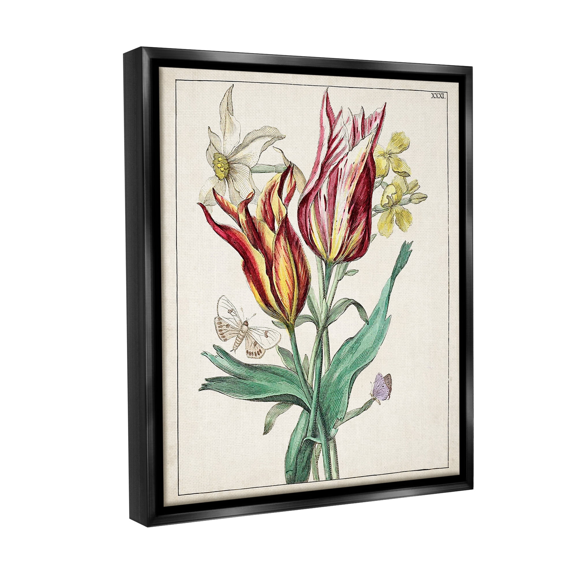 Stupell Industries Tulips & Moths Study Botanical & Floral Painting Black Floater Framed Canvas Art Print Wall Art, 17 x 21