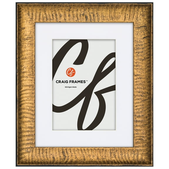 Craig Frames Safari, 13x19 Picture Frame Matted for a 9x13 Photo, Gold