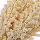 thumbnail image 2 of ColoMX 2 Ramo de plantas artificiales blancas Decoración de trigo Grano Flor Rama Realista Simular Ramos de flores Fotografía Prop, 2 of 8