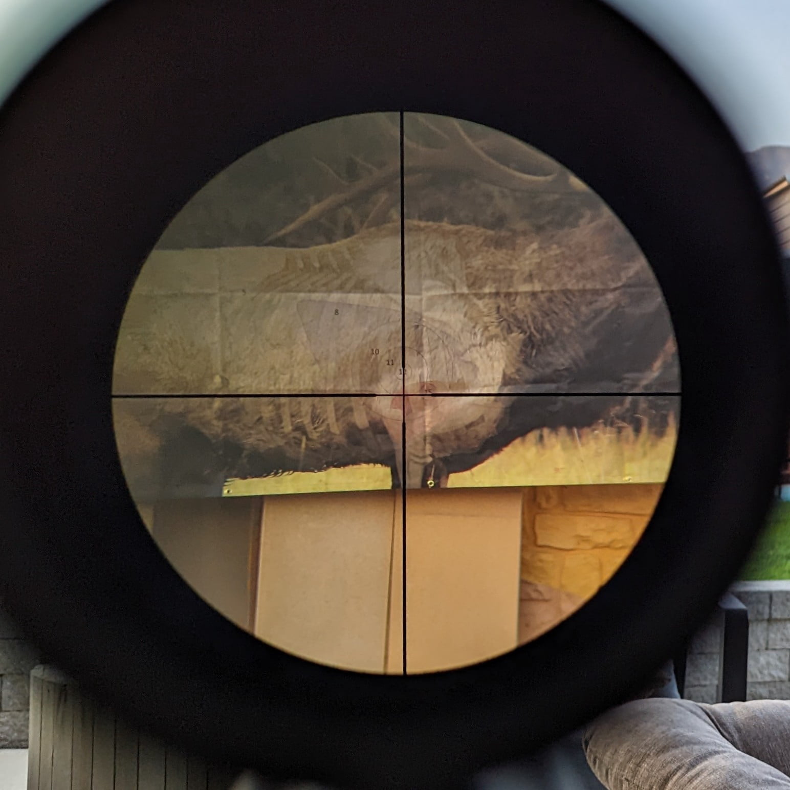 Elk Target - Full Size Elk Archery & Rifle Target (Life Size)