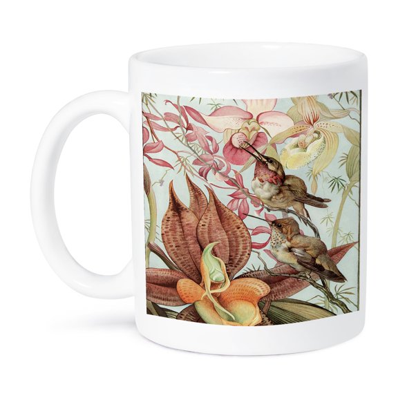 3dRose, Catasetum and Cypridediums by Edward J. Detmold Orchid and Hummingbirds, 15oz Mug