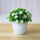 thumbnail image 5 of Plantas artificiales falsas modernas con decoración de de blanco Sunnimix florero flores de imitación en maceta, 5 of 6