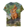 thumbnail image 5 of Blusa de manga corta con cuello redondo para mujer a la moda, camisetas sueltas con estampado Fridja  bn6606, 5 of 5