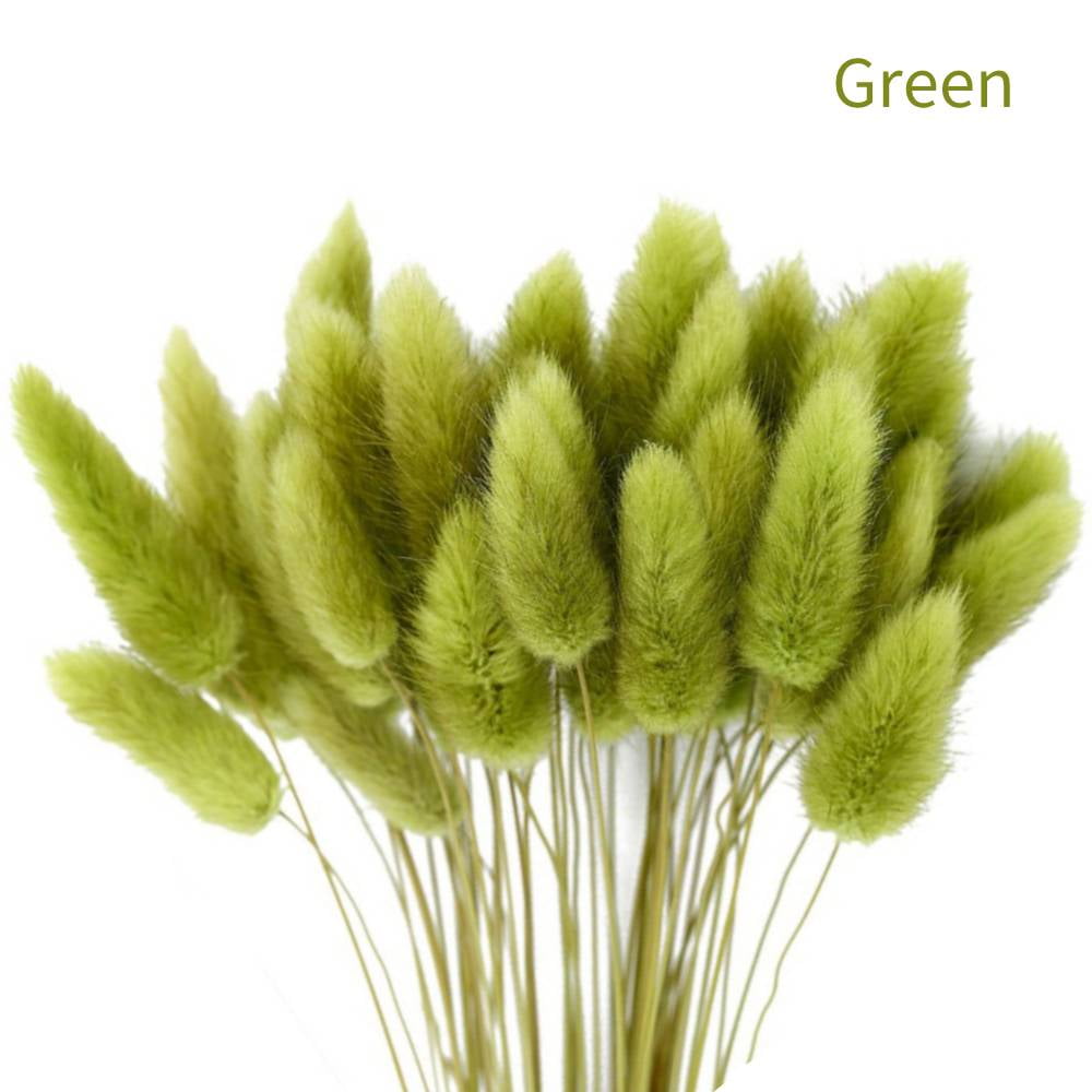 50 Pcs Dried Pampas Grass,18