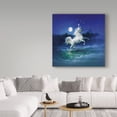 thumbnail image 3 of Trademark Fine Art 'Frolicking Unicorn' Canvas Art by Kirk Reinert, 3 of 3