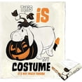 thumbnail image 2 of The Pooh Silk Touch Throw Blanket, 50" X 60", Simple Costume, 2 of 5