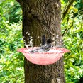 thumbnail image 5 of RUISINERY Bird Bath Outdoor Accessory for Parrots and Budgerigar Bird Feeding Bowl Bird Feeding Station Small Tub Bowl, 5 of 8
