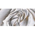 thumbnail image 3 of White rose delicate - 24"x48" canvas - Print on demand, 3 of 5