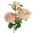 thumbnail image 4 of YAOMOBB Artificial Rose Sealed Food Freezer Set for Leak proof Storage Keep Your Food Fresh, 4 of 5