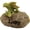 Dragon Stone "Lucky", variant on Top Collection Miniature Fairy Garden and Terrarium Hear No Evil Dragon Statue