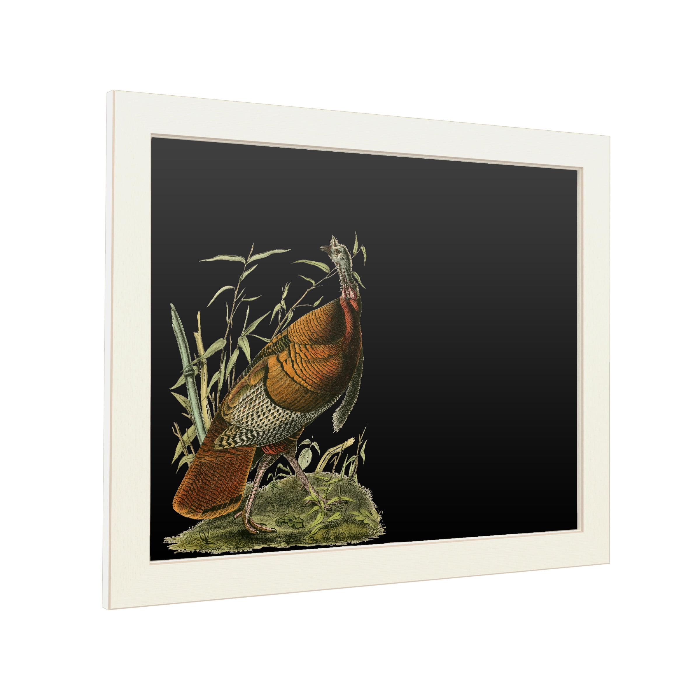Trademark Fine Art 'Audubon Wild Turkey' Chalkboard by John James Audubon