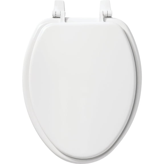 Bemis 166TT 000 Elongated Toilet Seat, White Molded Wood - Quantity 1 — Residential Use, Standard Application