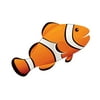 ASH10036 - Magnetic Whiteboard Eraser, Clown Fish by Ashley Productions
