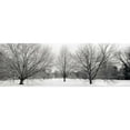 thumbnail image 3 of Blaustein, Alan 18x9 Black Modern Framed Museum Art Print Titled - Winter Garden - 1, 3 of 5