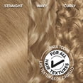 thumbnail image 4 of Tinte de pelo Garnier Olia sin amoniaco 8.0 Rubio medio 2x, 4 of 6
