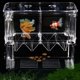 thumbnail image 1 of Fish Breeding Box Double-Layer Acrylic Breeding Tank Isolation Box, 1 of 5