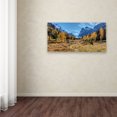 thumbnail image 3 of Trademark Fine Art 'Larch Forest in Autumn' Canvas Art by Pierre Leclerc, 3 of 3