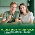 thumbnail image 2 of Vegan Chlorophyll Liquid Drops 200mg, Advanced Liquid Chlorophyll for Natural Cleansing & Immune Health, Internal Deodorant, Skin & Gut Health, Sugar-Free, Non-GMO, 1 Fl Oz - Mint Flavor, 2 of 7