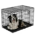 thumbnail image 1 of Vibrant Life Double-Door Metal Wire Dog Crate with Divider,42in, 1 of 7