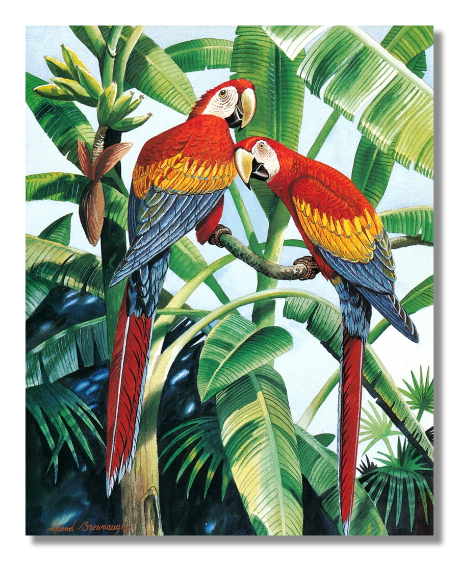 Two Scarlet Macaw Parrott Birds in Palm Tree Wall Picture
