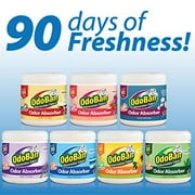 OdoBan Solid Odor Absorber Eliminator for Home and Small Spaces, Citrus Scent, 14 Ounces