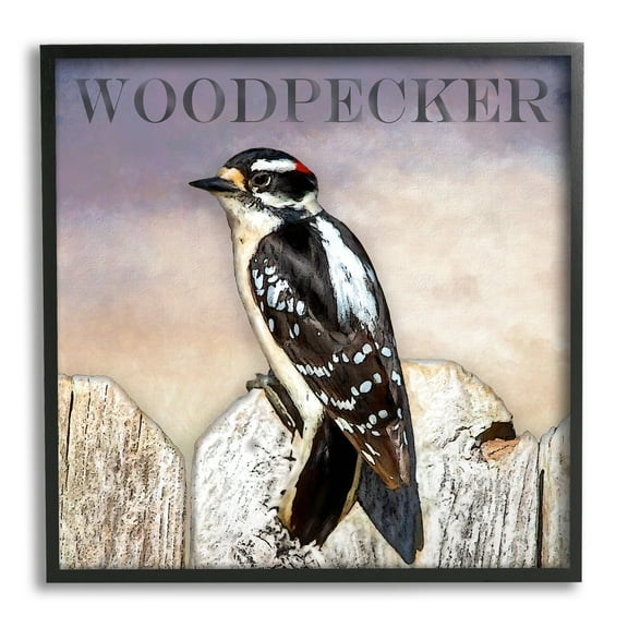 Stupell Industries Woodpecker Bird Perched on Fence Breed Typography Design Graphic Art Black Framed Art Print Wall Art, Design by Alpenglow Workshop