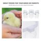 thumbnail image 2 of Bebedero para pájaros, bebedero para animales, comederos, comida para loros, dispensador de agua para reptiles, jaula, 3 piezas, 2 of 6