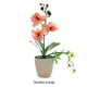 thumbnail image 4 of Árbol Bonsai Bewildely Aspecto Realista Elegante Flores artificiales Maceta 26 cm, 4 of 6