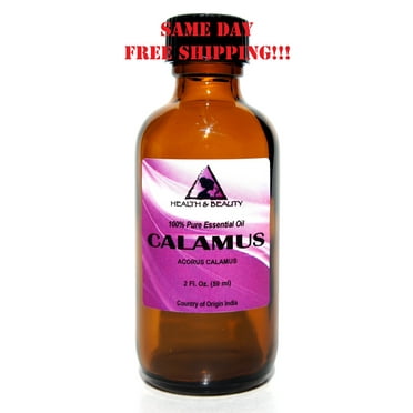 CALAMUS ESSENTIAL OIL AROMATHERAPY PURE NATURAL GLASS BOTTLE 2.0 OZ 59 ml