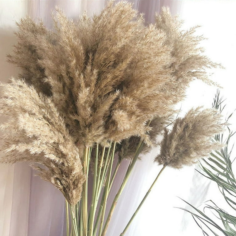 Xmarks Dried Pampas Grass Bouquet, Natural Dried Flower Bouquet, Boho Home  Decor Bouquet, Phragmites Dried Flowers, Dried Flowers Reed Grass for Home