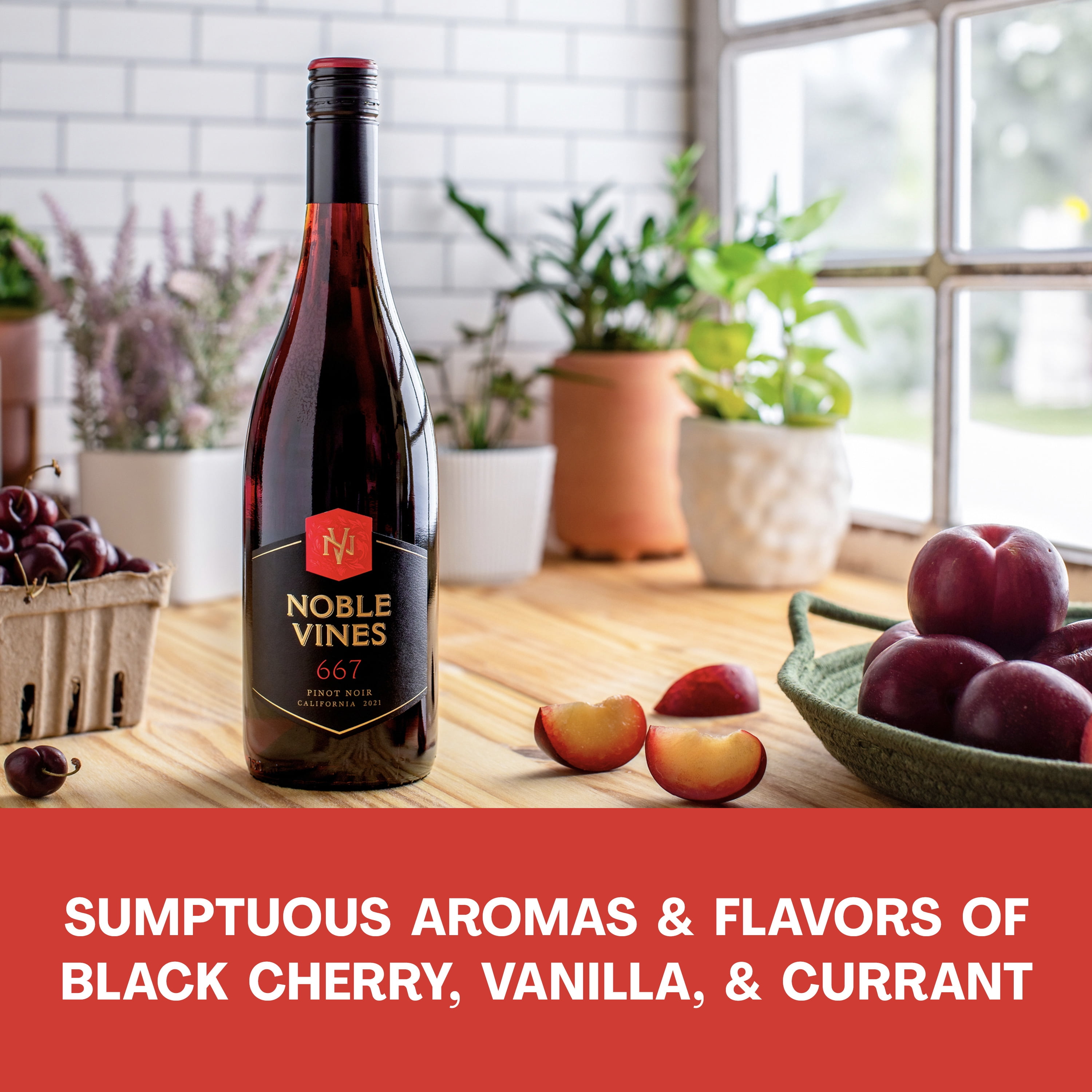 Pinot Wine Noble Vines 667 Pinot Noir Buy Noble Vines 515 Rose