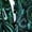 Black Green, variant on Disco Dresses Women 70s Hippie Rave S Star Pink
