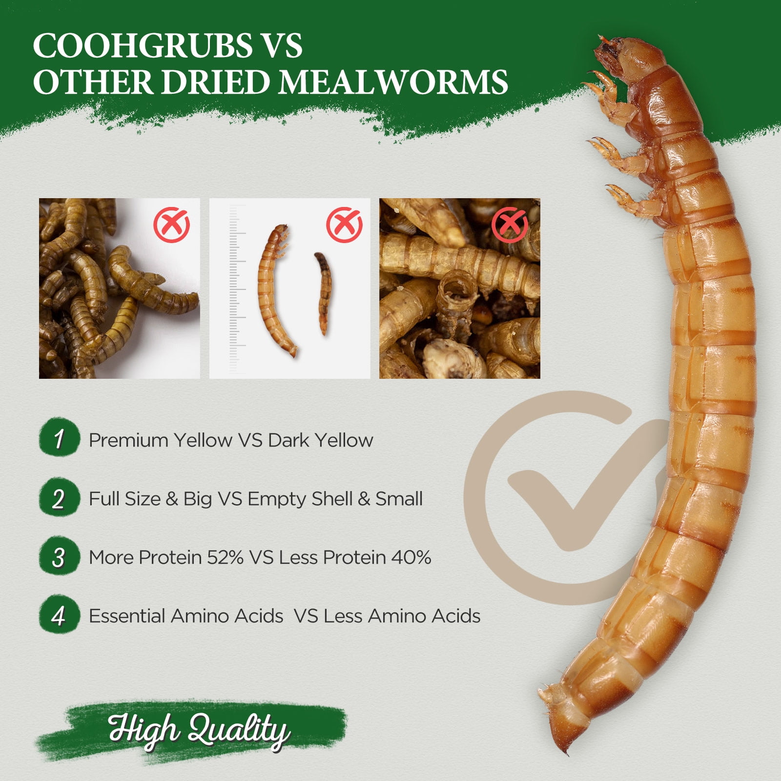 COOHGRUBS 100% Natural Dried Mealworms, Non-GMO Meal Worms for Chickens, Ducks & Wild Birds, High Protein Chicken Treats & Bird Food, 10-lb Box