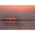 thumbnail image 3 of Cseresnjes, Anna 24x18 Black Modern Framed Museum Art Print Titled - Purple Sunset, 3 of 5