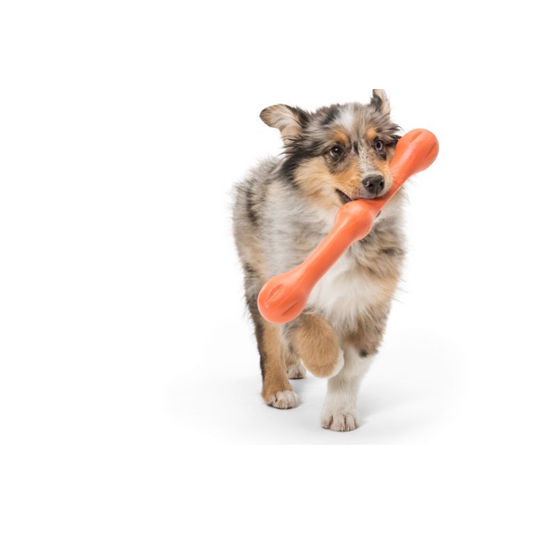 West Paw Zogoflex® Echo™ Zwig Dog Toy - Hala's Paws