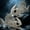 2PCS Fish Skeleton, variant on Joyfy Halloween Skeleton Fish Skeleton Halloween Decor,Plastic Skeleton with LED Eye for Halloween Decoration Outdoor Haunted House Party
