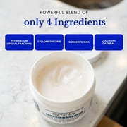 Theraplex Eczema Therapy (6 oz) - Moisturizing Skin Protectant with Natural Colloidal Oatmeal, Noncomedogenic, and Hypoallergenic, Fragrance-Free - National Eczema Association Seal of Approval