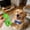 Green, variant on Emulsion Squeaky Chicken Dog Toys Funny Latex Screaming Interactive Pet Squawkers Cute Dog Gifts for Aggressive Chewers Birthday Gifts for Small Medium Large Pet(9 ", Blue Dot)