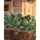 thumbnail image 4 of Guirnalda vegetal artificial de eucalipto Chiyinbao de 2 m de largo, 4 of 7